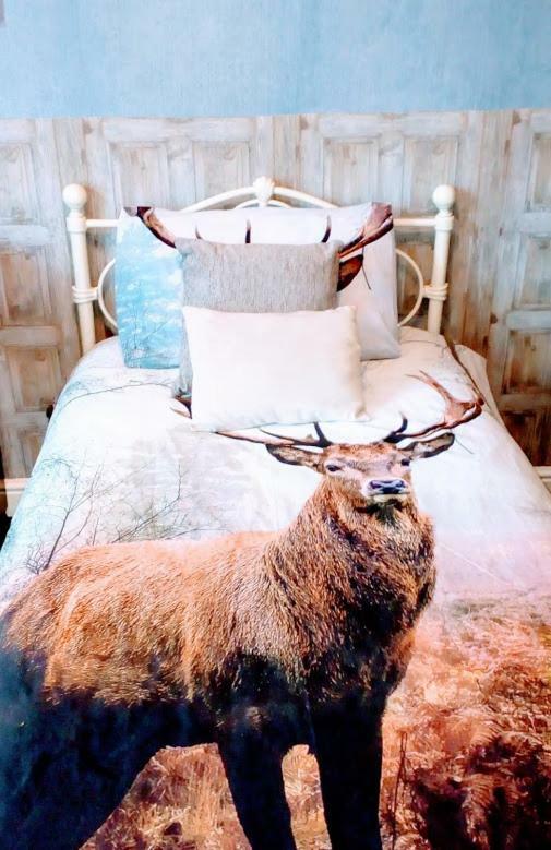 East Midlands Guesthouse ดาร์บี ภายนอก รูปภาพ